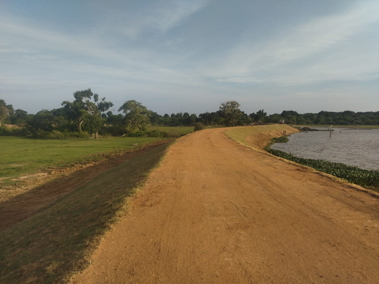 Rotawala 1